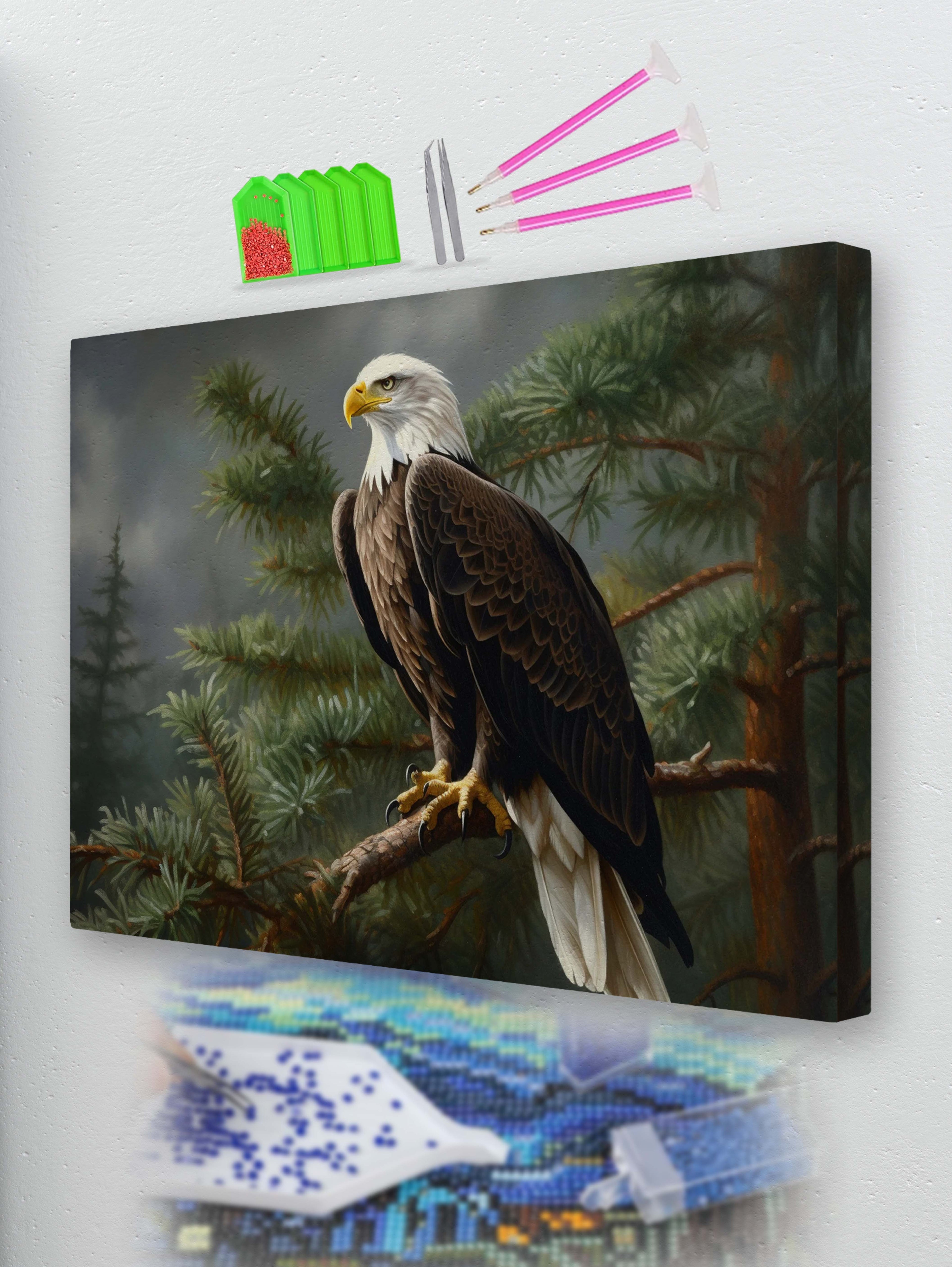 The Watchful Eye Diamond Painting Kit