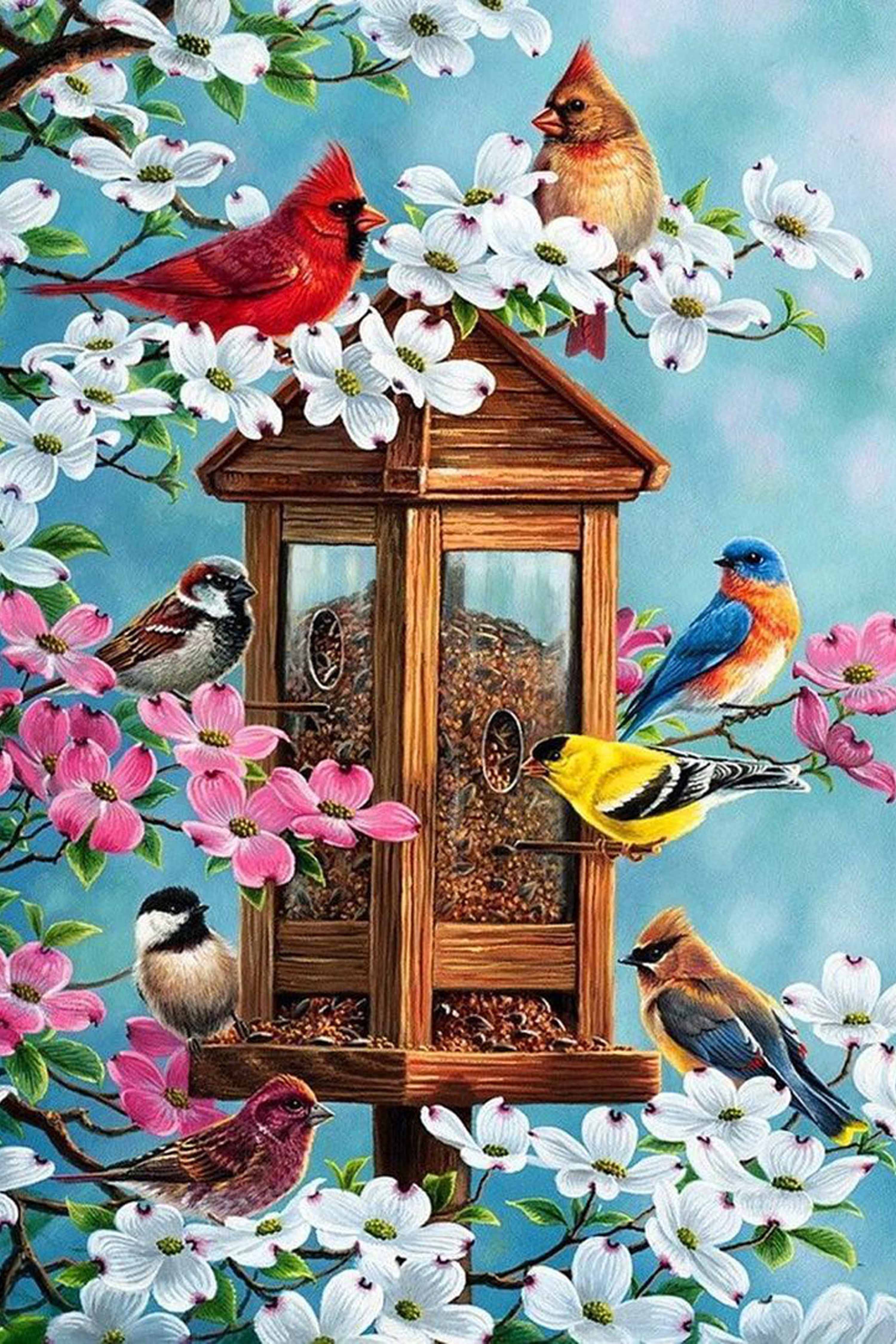 Colorful Birds Diamond Painting Kit